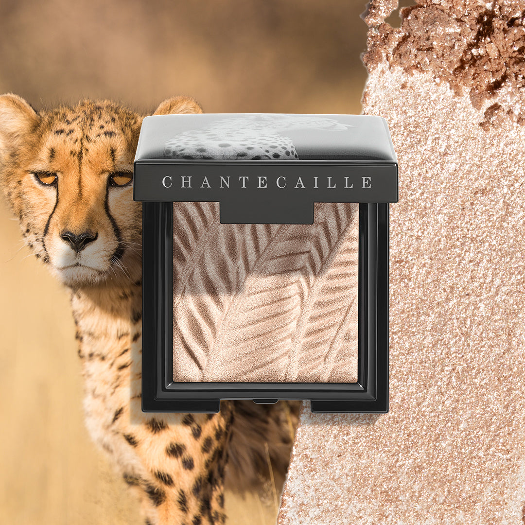 Chantecaille protect the lions top eye Palette